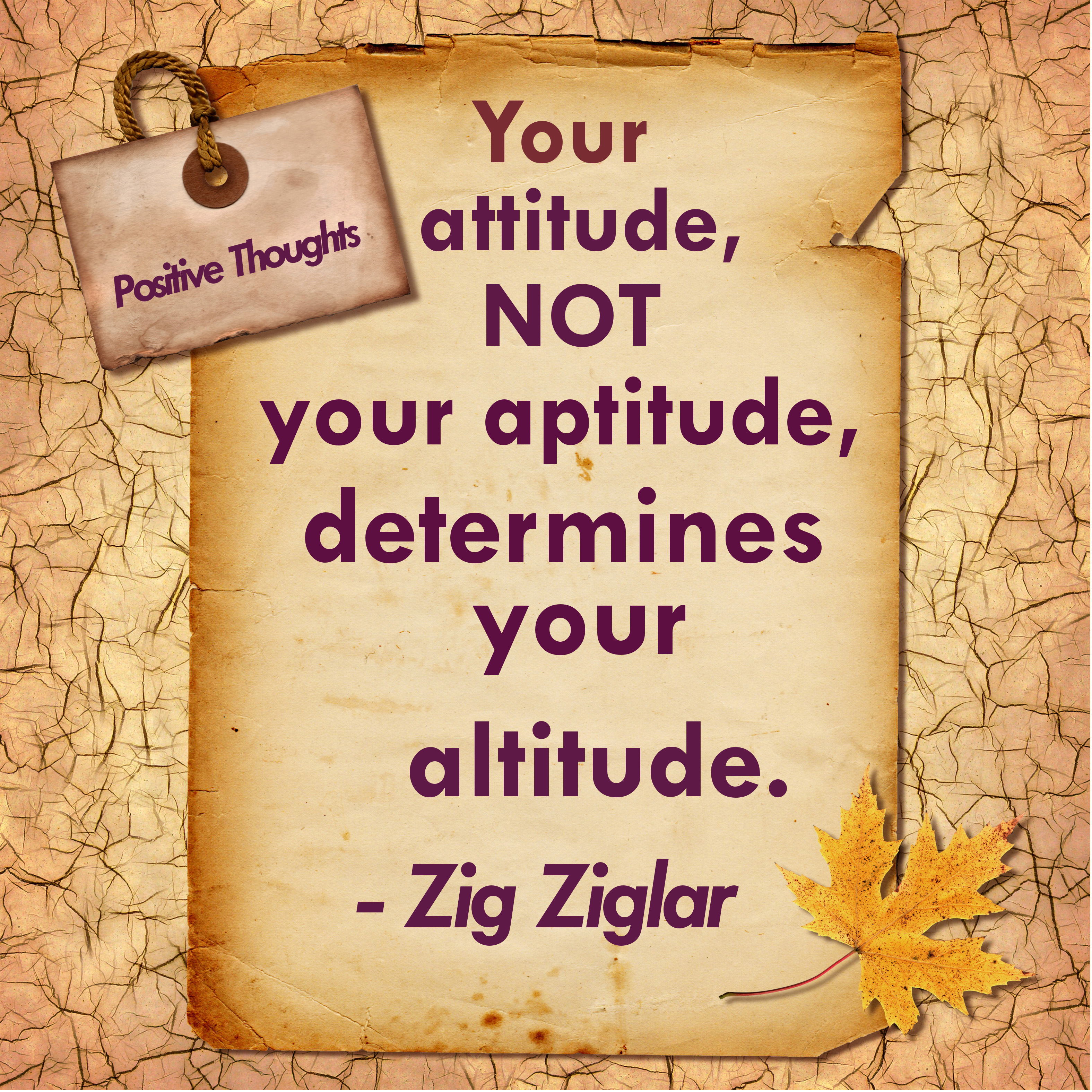 attitude decides altitude